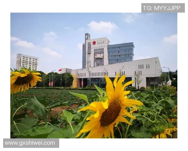 南京篮球队逆袭联合会杯的传奇之路与辉煌时刻回顾